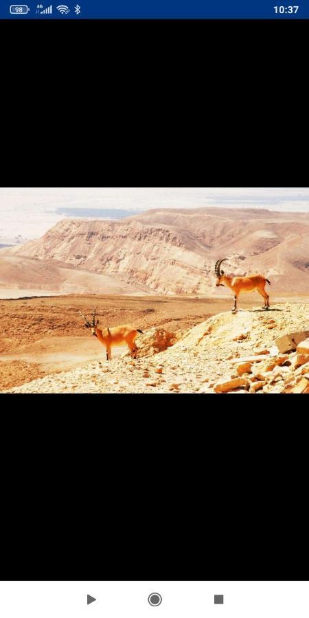 אלת המדברgoddess Of The Desert Be'er Ora Bagian luar foto