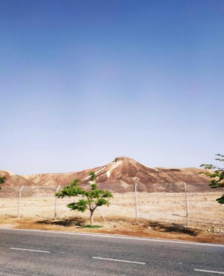אלת המדברgoddess Of The Desert Be'er Ora Bagian luar foto