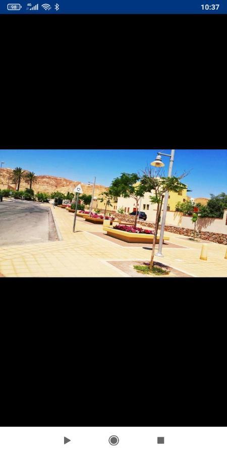 אלת המדברgoddess Of The Desert Be'er Ora Bagian luar foto